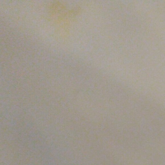 Off-white Sheer Curtain Panels w/lace or Embroidered Scalloped 3" Lace (8 yds) - Picture 4 of 8